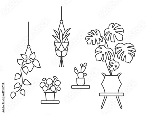 House plant line art icon. Flowers in pots. Editable Stroke