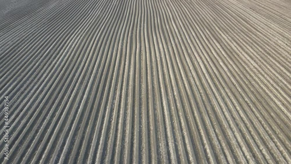 Aerial view field is plowed in spring. Flight over a plowed field of black earth. The soil which is plowed by beds for crops. Aerial view field is plowed in spring. Flight over a plowed field of black earth. The soil which is plowed by beds for crops.