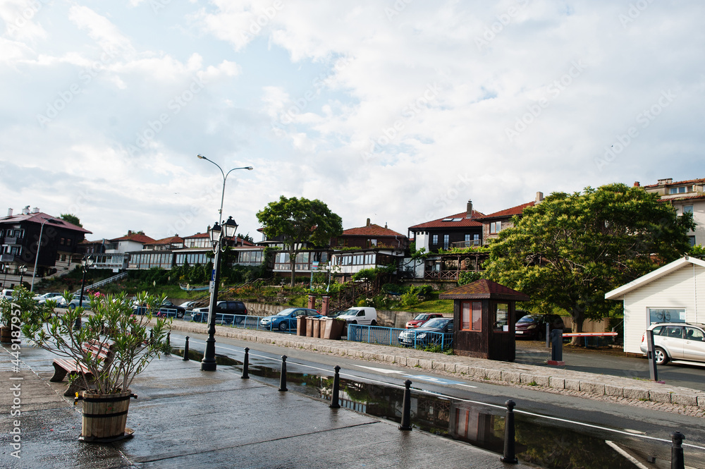 Obraz premium Tree flower on pot at coast of Nesebar, Bulgaria.