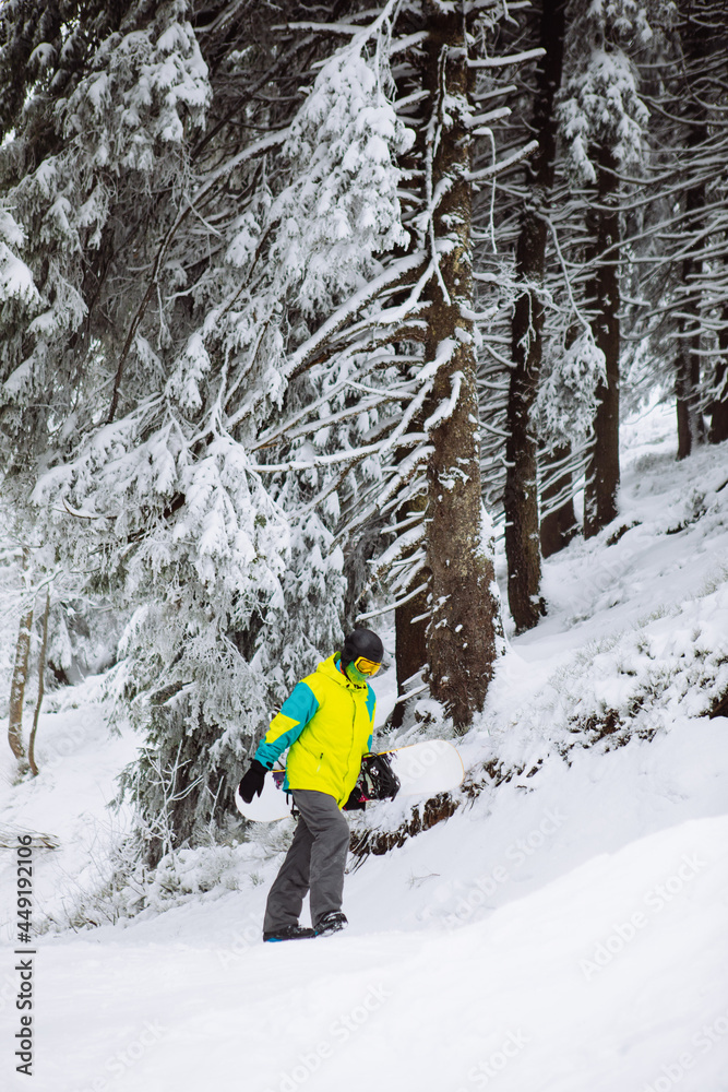 man snowboarder walking by snowed forest