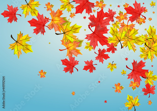 Autumnal Leaf Background Blue Vector. Foliage Bright Illustration. Green Collection Plant. Nature Floral Texture.
