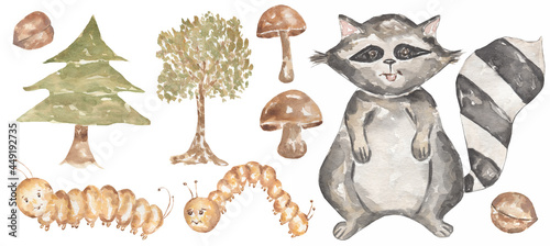 Watercolor hand drawn baby animal clipart. Woodland animal illustration, forest raccon, trees, Fir, mushrooms, caterpillar, nuts clip art, kids wall art, baby shower, birthday party card