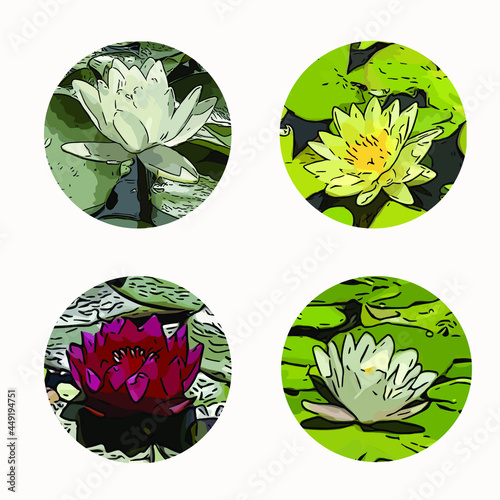 Lotuses with leaves in the circles, cartoon,  outlines, set of four