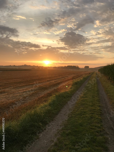 Sonnenaufgang morgens beim Wandern - Landleben, Spaziergang