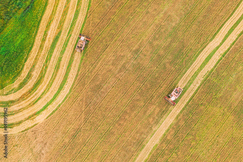Aerial View Of Rural Landscape. Two Combines Harvesters Working In Field, Collects Seeds. Harvesting Of Wheat In Late Summer. Agricultural Machine Collecting Golden Ripe. Bird's-eye Drone View