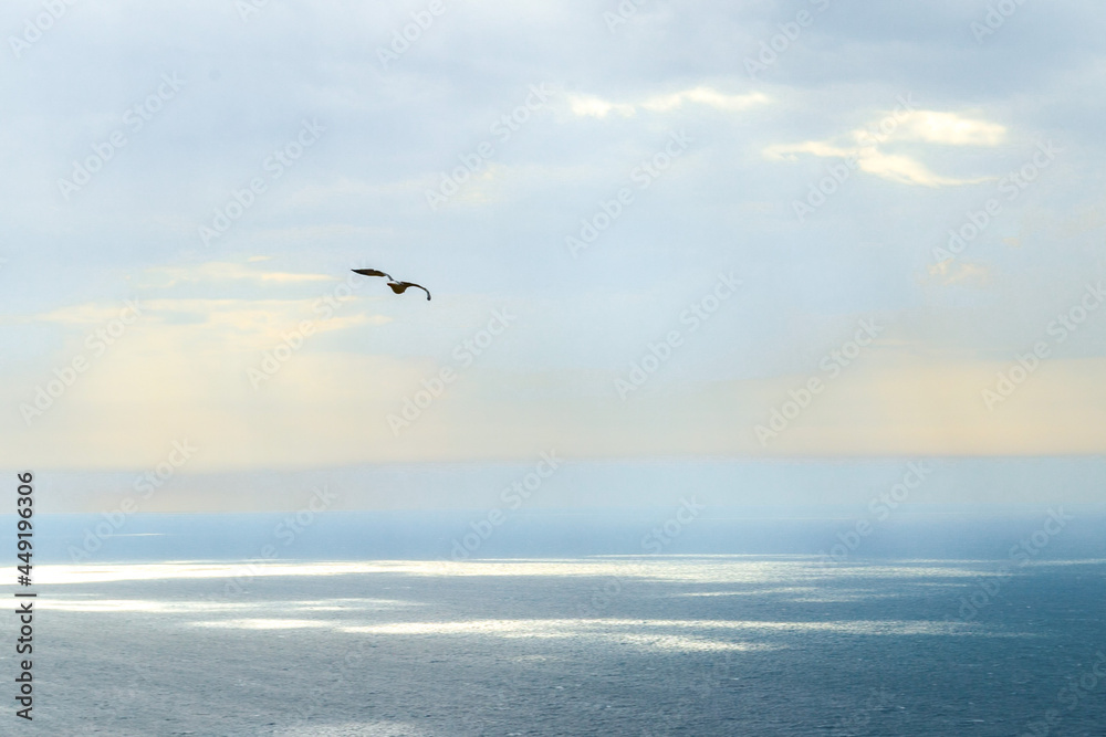 Naklejka premium The sun's rays shine through the clouds, reflecting in the sea against the background of a sea gull flying across the sky.