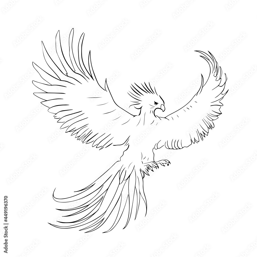 Fototapeta premium Phoenix 