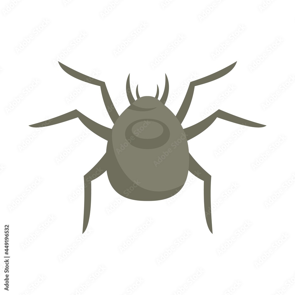 Obraz premium Spider forest bug icon flat isolated vector