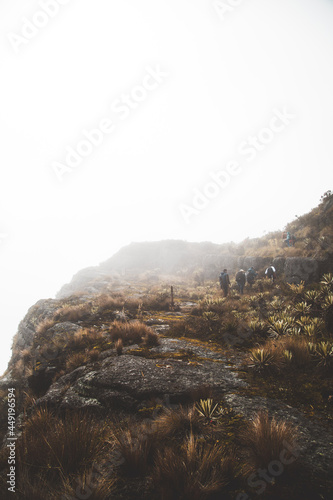 Sumapaz Páramo Colombia