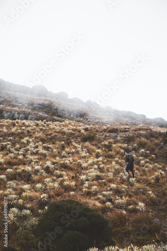 Sumapaz Páramo Colombia