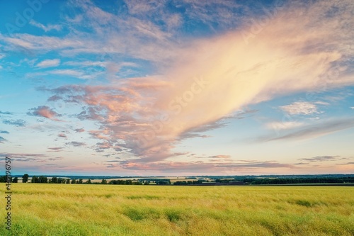 Evening blue sky and sunset. The clouds were colored orange. Below is a field of rural grasses.