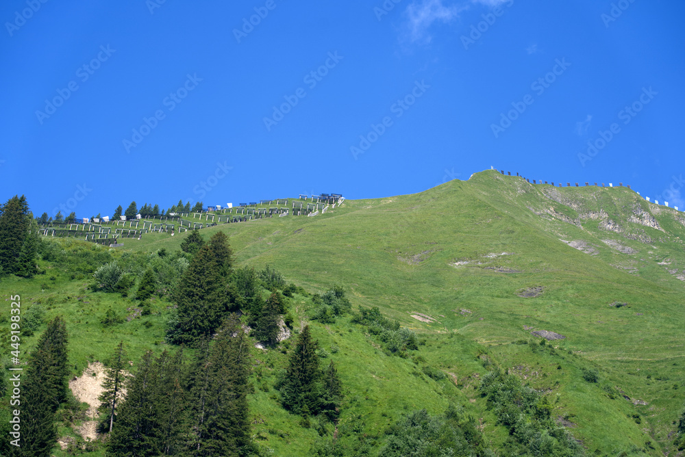 Panoramic view of trees and rocks at mountain Brienzer Rothorn at Bernese Highland on a beautiful sunny summer day. Photo taken July 21st, Flühli, Switzerland.