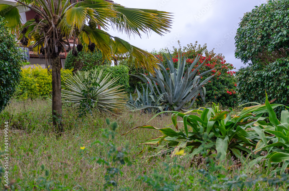 natureza em foco natureza em foco