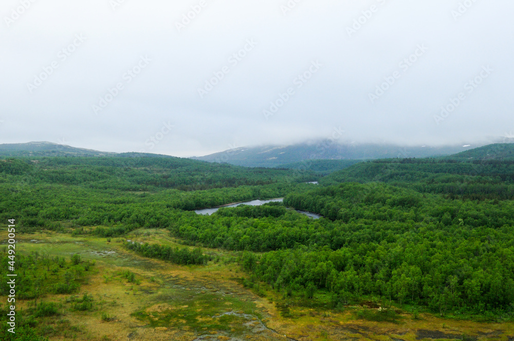 Summer mountain landscape with trees. The view from above to the green trees, a fast river flowing below and against the backdrop of high mountains and fog. Fishing, hunting and nature at its best.