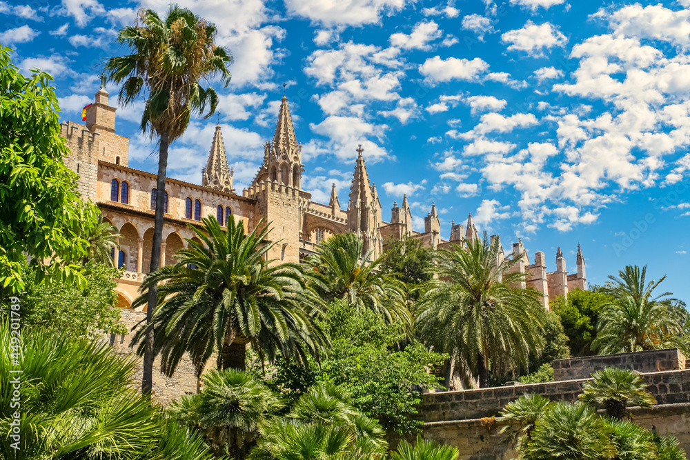 Palma de Mallorca Cathedral with tropical palm trees and blue sky with clouds.