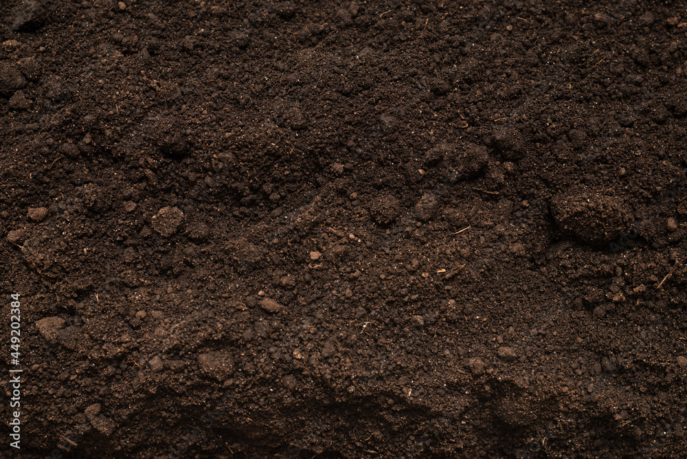 Black land for plant background. Top view. Black land for plant background. Top view.