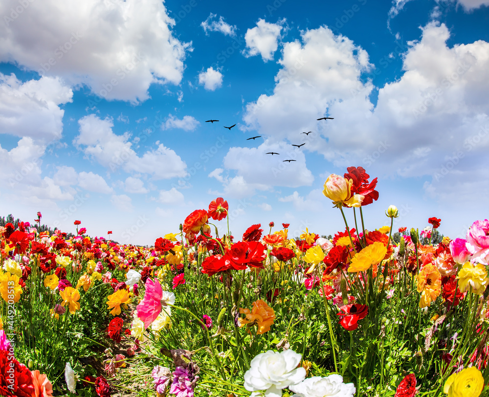 Wonderful trip for spring Wonderful trip for spring