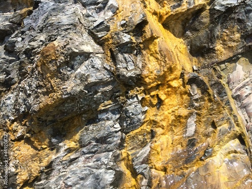 Background with yellow mold on the mountain or rock