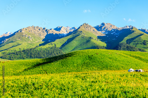 Nalati grassland with beautiful mountain natural landscape in Xinjiang,China.