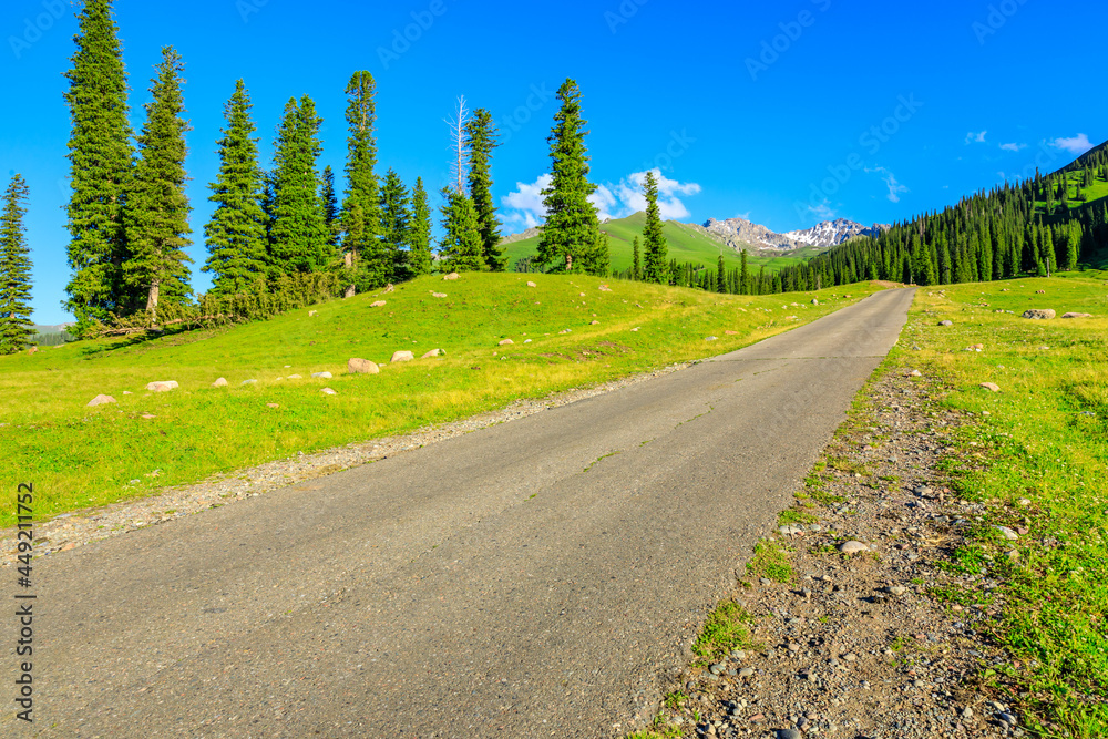 Empty road and beautiful mountain with green grass in Nalati grassland,Xinjiang,China.