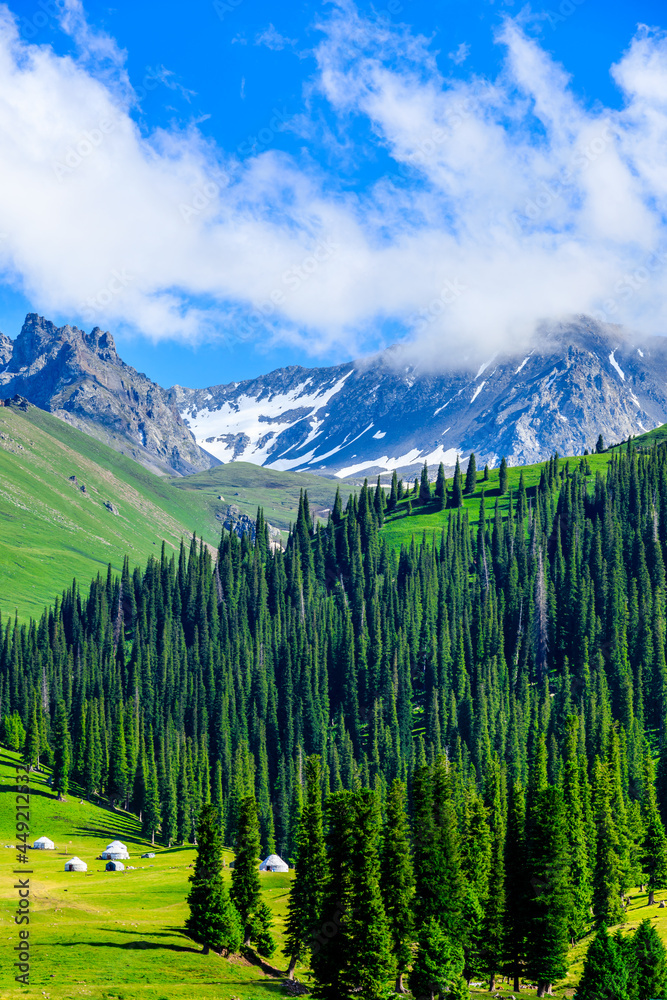 Fototapeta premium Nalati grassland with beautiful mountain natural landscape in Xinjiang,China.