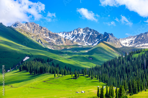 Nalati grassland with beautiful mountain natural landscape in Xinjiang,China. photo