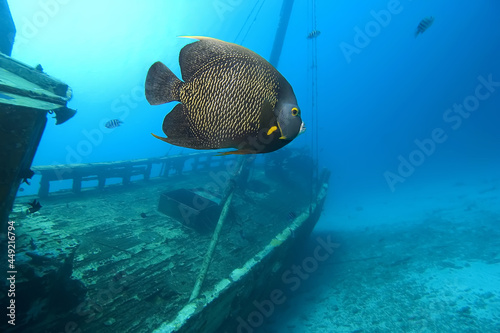 Underwater Caribbean Sea shipwreck photo
