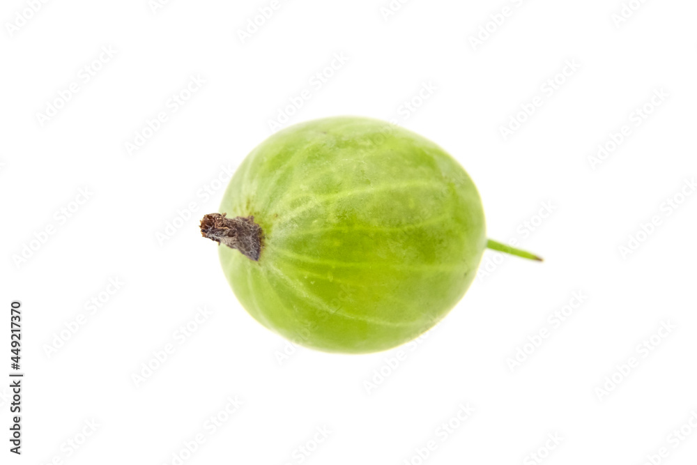 Gooseberry isolated on white background. Single green berry Gooseberry isolated on white background. Single green berry
