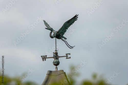 iron weathervane in the shape of a stork with a blurred background an instrument used for showing the direction of the wind photo
