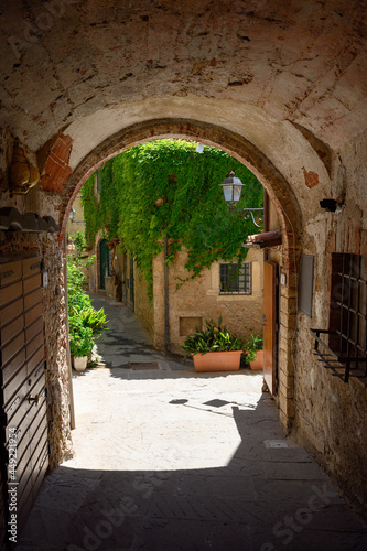 Fototapeta Naklejka Na Ścianę i Meble -  narrow alley in picturesque tuscan village of Capalbio