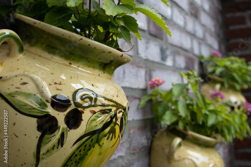 Flowers&Plants 9