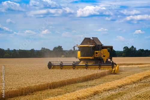 Big combiner working in a field. Harvesting wheat by big agriculture machine.