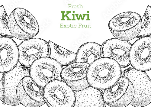 Kiwi fruit hand drawn frame. Sketch style. Vector illustration. Design, package, brochure illustration. Hand drawn kiwi fruits design template. Organic fresh food vector illustration.