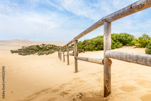 Fototapeta Naklejka Na Ścianę i Meble -  Wooden fence in the Sand dunes at Pismo beach in California, USA