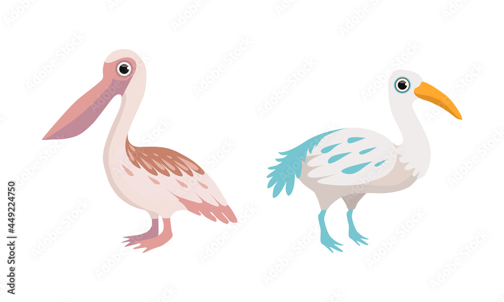 Obraz premium Bird as Winged Feathered Aves with Beaked Jaw Vector Set
