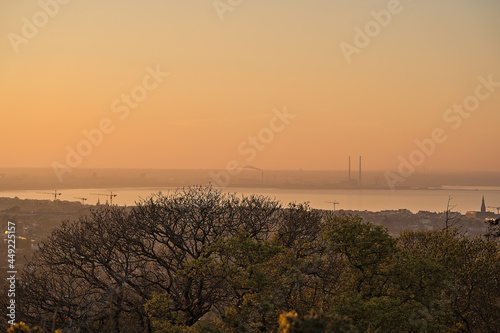 Beautiful evening view of Dublin Bay, Covanta Plant (Dublin waste to energy), construction cranes and tree branches in golden sun light, Killiney Hill Park, Dublin, Ireland. Soft and selective focus