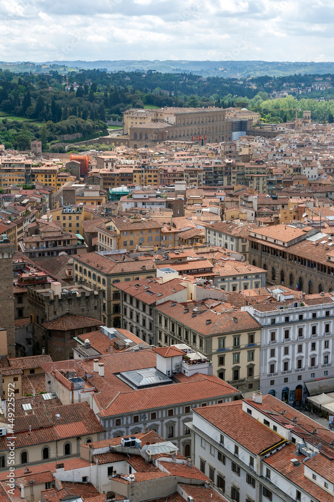 Red rooftops of Florence with the Palazzo Pitti