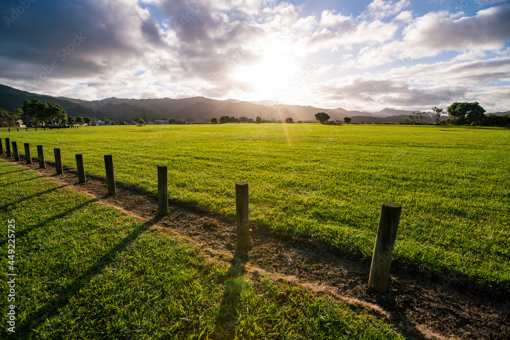 Wooden fence on a green meadow during sunset in New Zealand