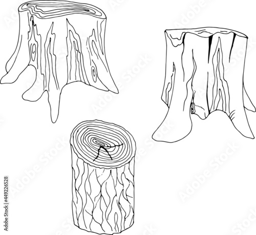 A set of tree stumps. Isolated image on a white background, drawing with a line.