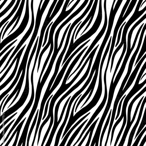 Seamless zebra print pattern on white background. Animal skin print texture. Vector flat illustration.