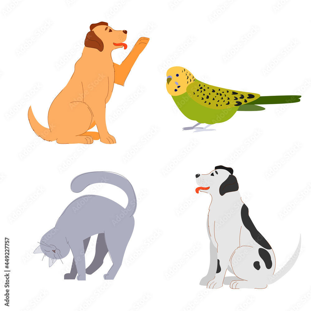 pet pets: dog, labrador, cat, parrot, budgerigar. cute animals. veterinary medicine. friends of man. stock vector illustration isolated on white background.