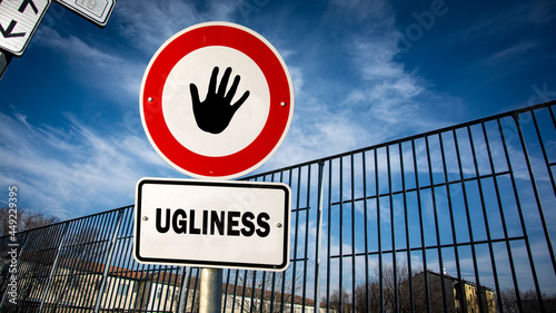 Street Sign Beauty versus Ugliness