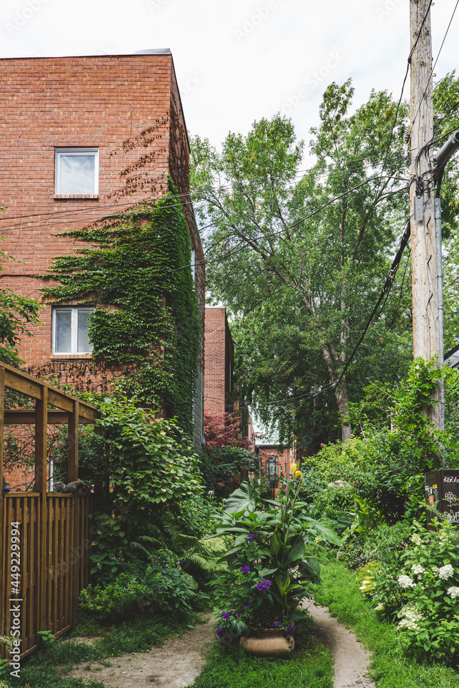 the lush and green back alley Henri Julien, flowered and preserved by the neighborhood residents, located near Square St Louis in Montreal Plateau Mont Royal neighborhood the lush and green back alley Henri Julien, flowered and preserved by the neighborhood residents, located near Square St Louis in Montreal Plateau Mont Royal neighborhood