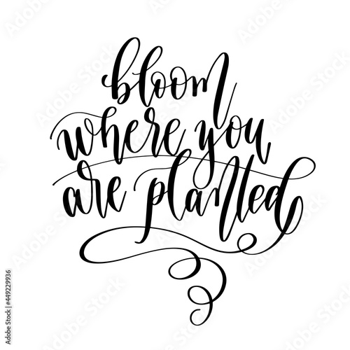 Bloom where you are planted - hand lettering vector illustration