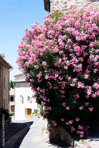 Fototapeta Naklejka Na Ścianę i Meble -  Enge Gasse mit pinken Blumen in Frankreich