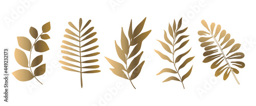 Set of beautiful gold leaves plants, leaves, plant design. Vector illustration 10. 