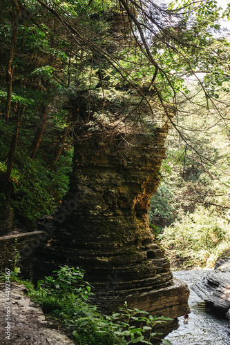 Nature explorations in upstate New York 