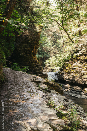 Nature explorations in upstate New York 