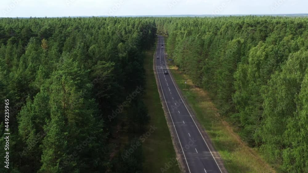 Aerial view of road through the green forest.