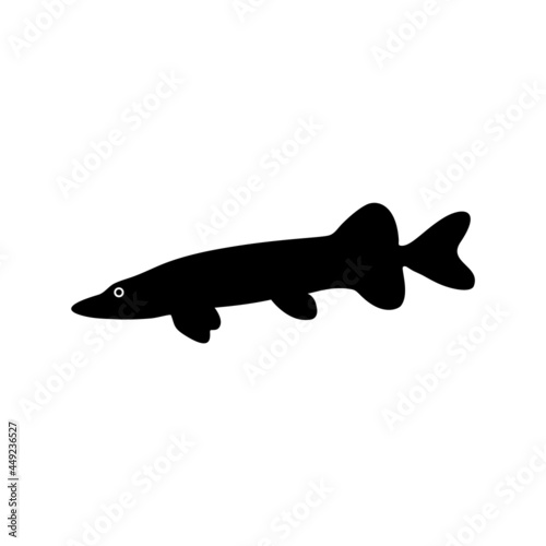 The silhouette of a black freshwater pike fish on a white background.